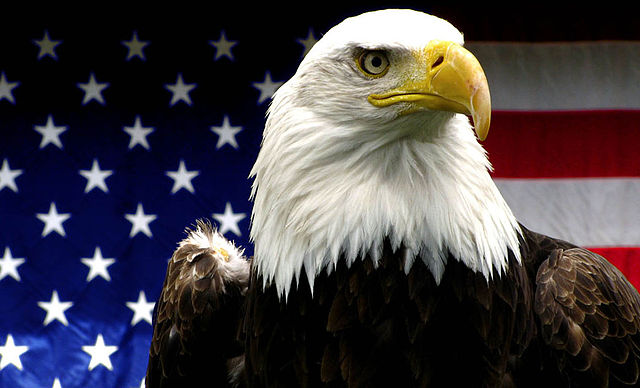 Picture courtesy of: http://www.zmescience.com/ecology/animals-ecology/american-bald-eagle-endangered-17022015/
